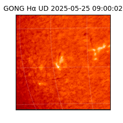 gong - 2025-05-25T09:00:02