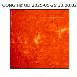 gong - 2025-05-25T10:00:02
