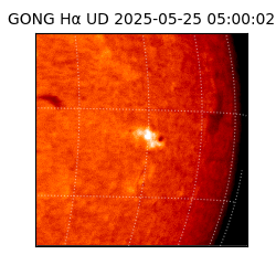 gong - 2025-05-25T05:00:02