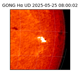 gong - 2025-05-25T08:00:02