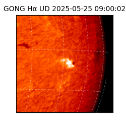 gong - 2025-05-25T09:00:02
