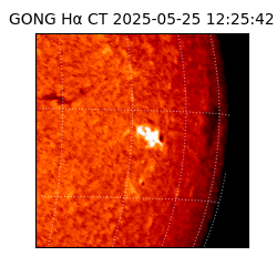 gong - 2025-05-25T12:25:42