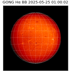 gong - 2025-05-25T01:00:02