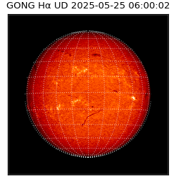 gong - 2025-05-25T06:00:02