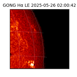 gong - 2025-05-26T02:00:42