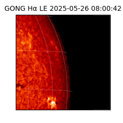 gong - 2025-05-26T08:00:42