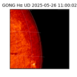 gong - 2025-05-26T11:00:02