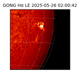 gong - 2025-05-26T02:00:42