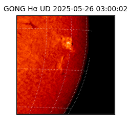 gong - 2025-05-26T03:00:02