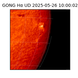gong - 2025-05-26T10:00:02