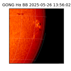 gong - 2025-05-26T13:56:02