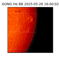 gong - 2025-05-26T16:00:02