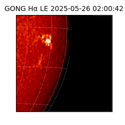 gong - 2025-05-26T02:00:42