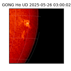 gong - 2025-05-26T03:00:02
