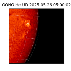 gong - 2025-05-26T05:00:02