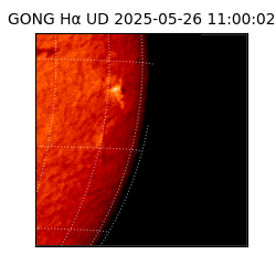 gong - 2025-05-26T11:00:02