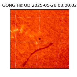 gong - 2025-05-26T03:00:02