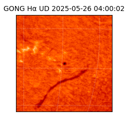 gong - 2025-05-26T04:00:02