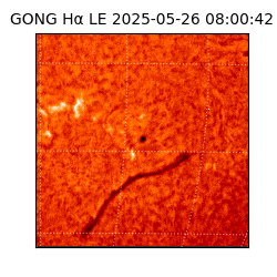 gong - 2025-05-26T08:00:42