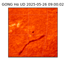 gong - 2025-05-26T09:00:02