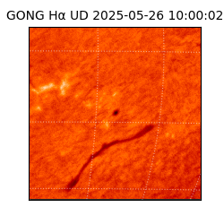 gong - 2025-05-26T10:00:02