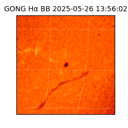 gong - 2025-05-26T13:56:02