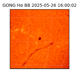 gong - 2025-05-26T16:00:02