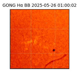 gong - 2025-05-26T01:00:02