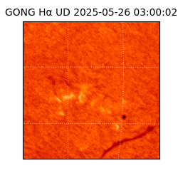 gong - 2025-05-26T03:00:02