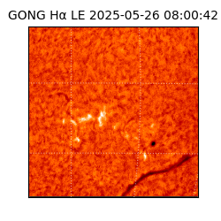 gong - 2025-05-26T08:00:42