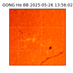 gong - 2025-05-26T13:56:02