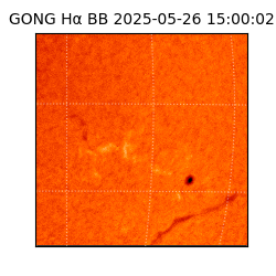 gong - 2025-05-26T15:00:02