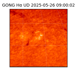 gong - 2025-05-26T09:00:02