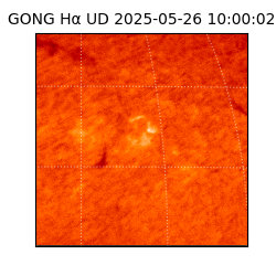 gong - 2025-05-26T10:00:02