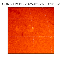 gong - 2025-05-26T13:56:02