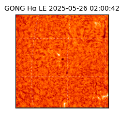 gong - 2025-05-26T02:00:42