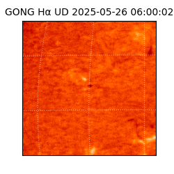 gong - 2025-05-26T06:00:02