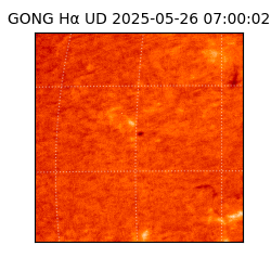 gong - 2025-05-26T07:00:02