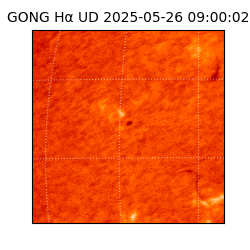 gong - 2025-05-26T09:00:02