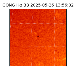 gong - 2025-05-26T13:56:02