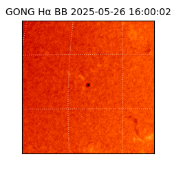 gong - 2025-05-26T16:00:02