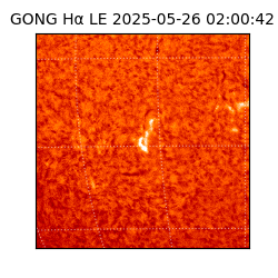 gong - 2025-05-26T02:00:42