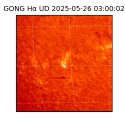 gong - 2025-05-26T03:00:02