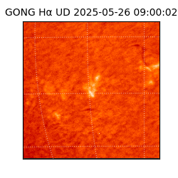 gong - 2025-05-26T09:00:02