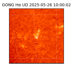 gong - 2025-05-26T10:00:02