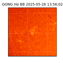 gong - 2025-05-26T13:56:02
