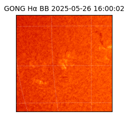 gong - 2025-05-26T16:00:02