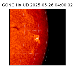 gong - 2025-05-26T04:00:02