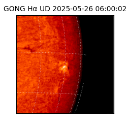 gong - 2025-05-26T06:00:02