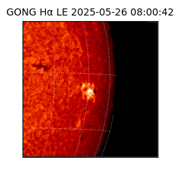 gong - 2025-05-26T08:00:42